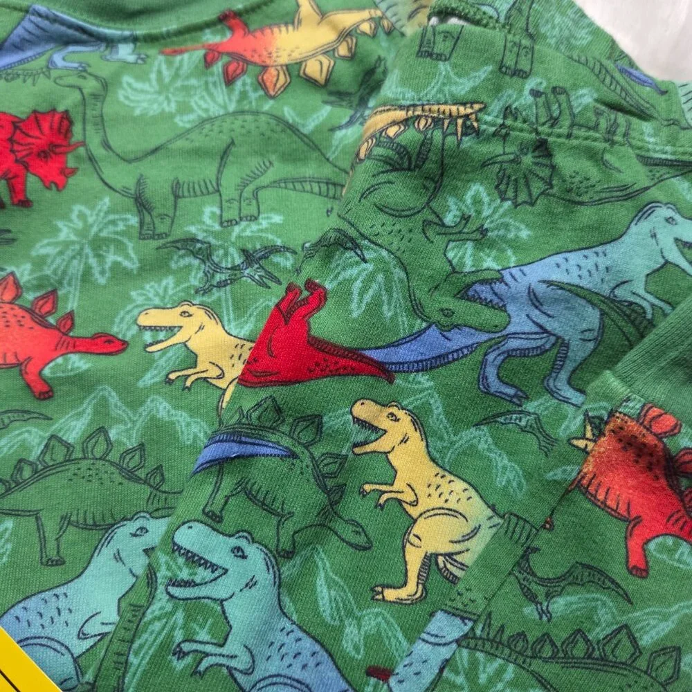 Wonder Nation Dinosaur 2 Piece Pajama Set
